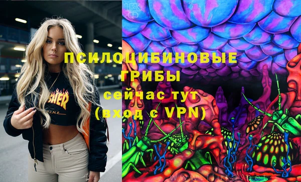 2c-b Аркадак